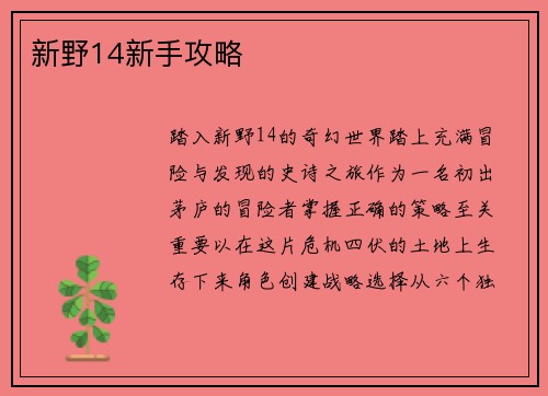 新野14新手攻略